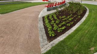 Tiiranpuiston perennaistutusten kasvualusta on rajattu noppakivillä.