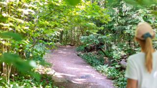 Ihminen kävelee Tammiston luonnonsuojelualueen ulkoilureitillä.